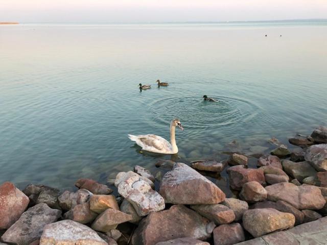 Hotel Astoria Balatonfüred Kültér fotó